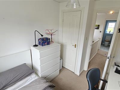 Picture 28